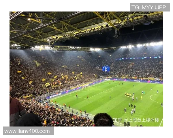 成都足球队状态飙升创历史新高引发球迷热议与期待