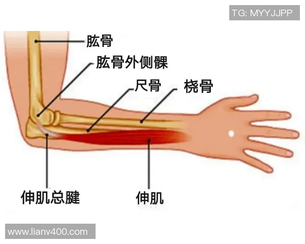 武汉网球队的整体压制策略解析与深度剖析网球运动的胜利之道